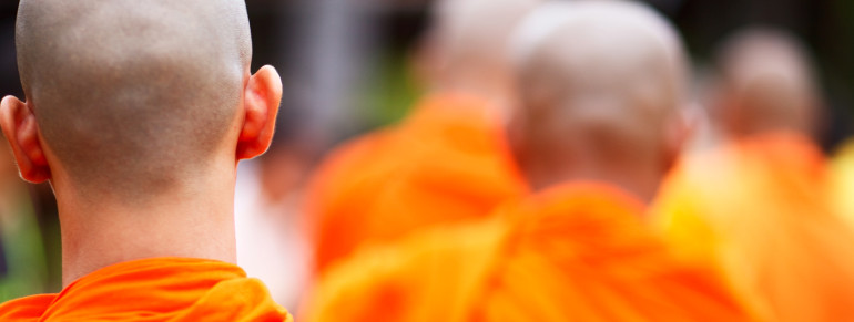 Suspendisse arcu nisl